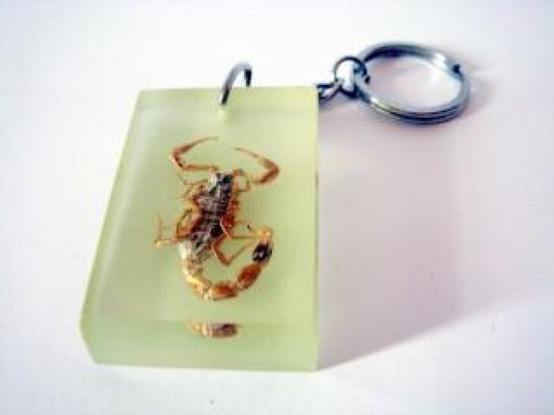 Keychain scorpion Pet keyring reptile specimen about Reptiles and Amphibians Scorpion