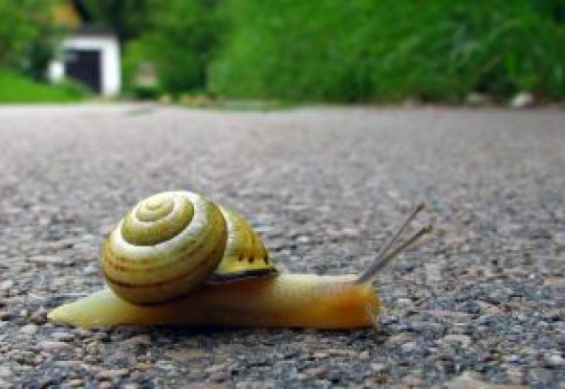 Killarney speed snail Ireland up about nice landscape Kerry Killarney National Park