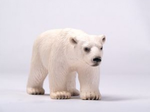 lifelike white polar bear toy walking at white surface