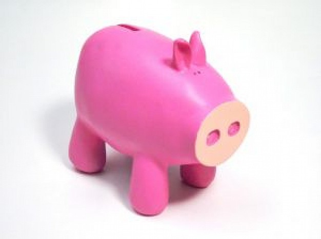 oink oink piggy bank side view feature