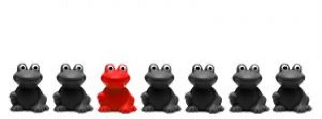plastic black and red frogs Reptiles and Amphibians in line about Biodiversity