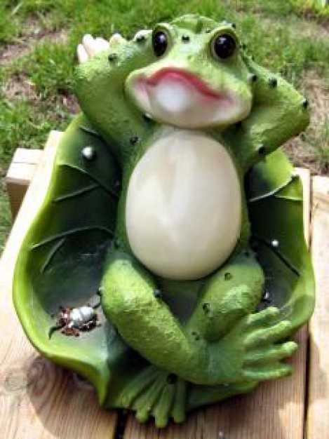 plastic frog front view lying on lotus leaf leisurely