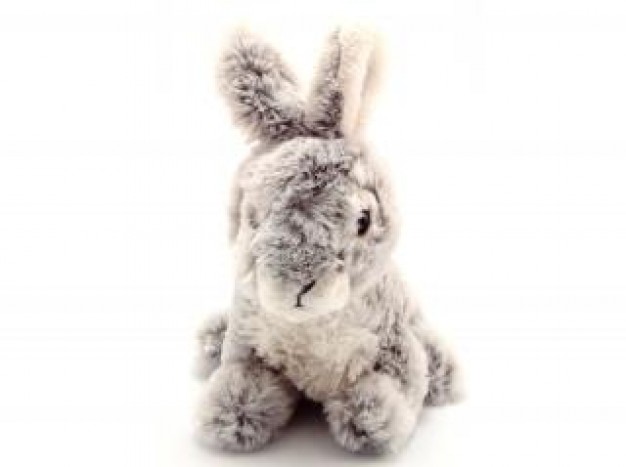 Rabbit Pet toy game about Recreation Angora rabbit