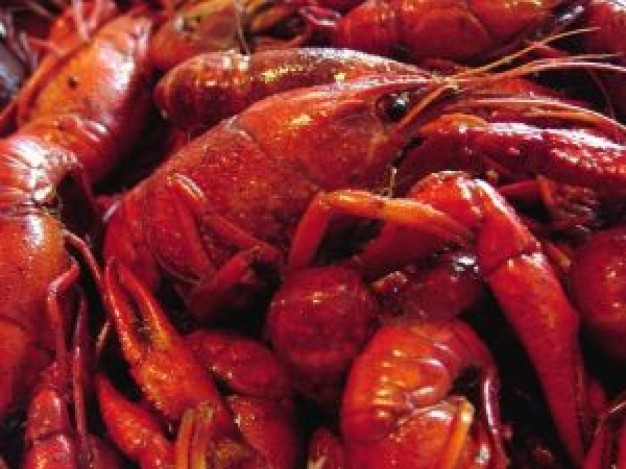 red boiled crawfish of Seafood