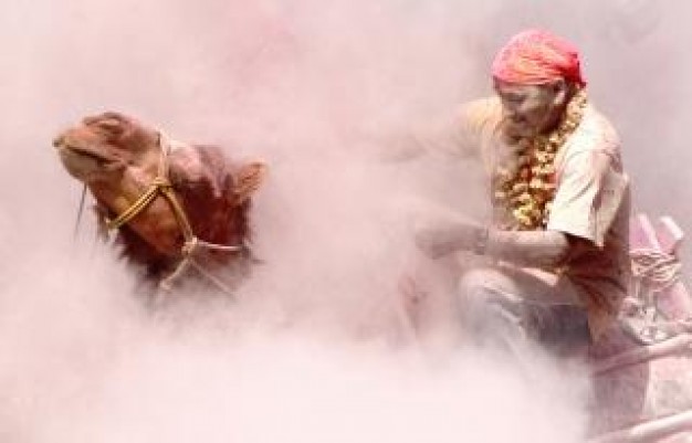 rider ride camel in a colourful festival