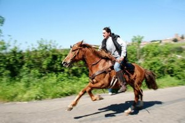 rider ride horse power running with grass at back