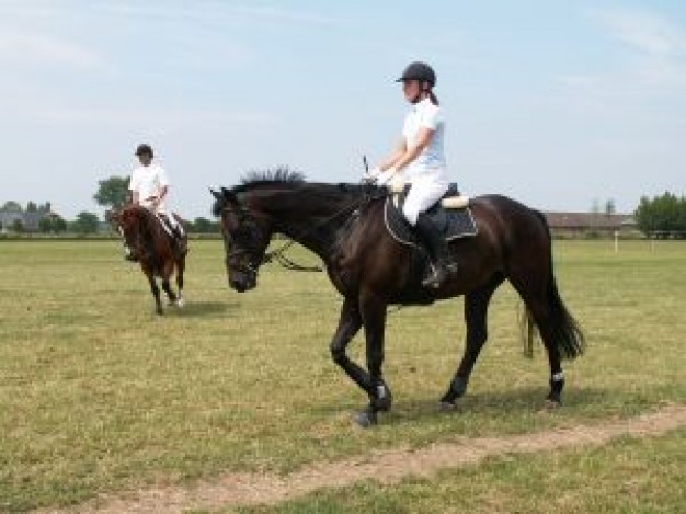 riders ride horse at grassland