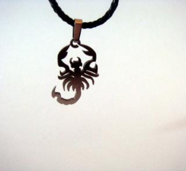 scorpion chain Necklace scorpion metallic over white background