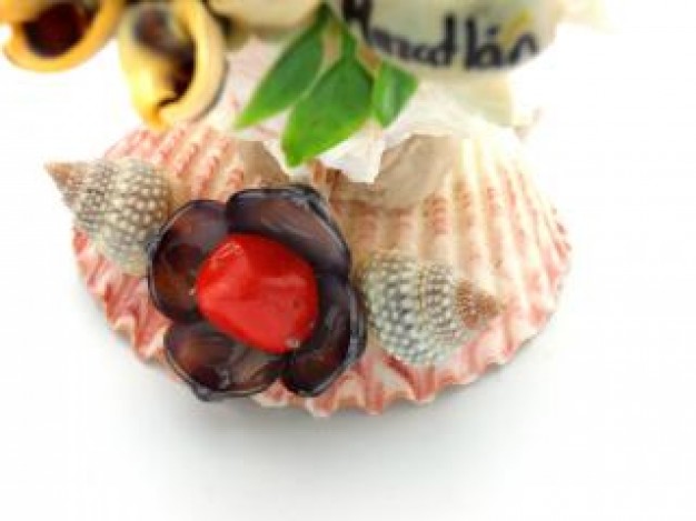 sea shell figure ball with flower and leaf