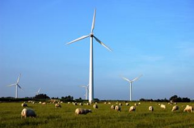 sheeps Grassland and windmills about blue sky background