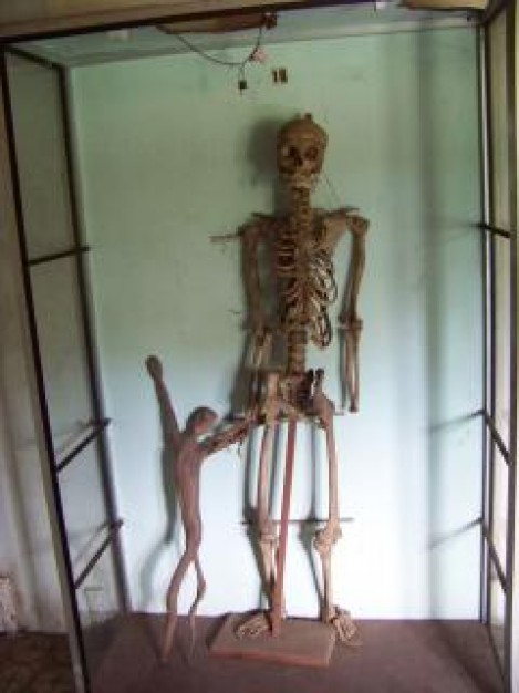 skeleton goth for Halloween