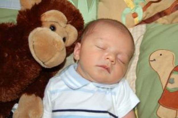 sleepy baby with monkey toy