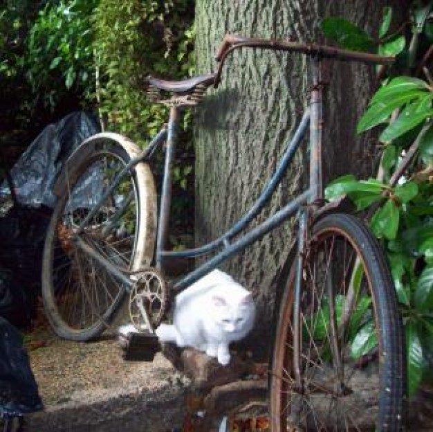 Somme pre Battle of the Somme war somme bicyclette cycle w wire about home photo art