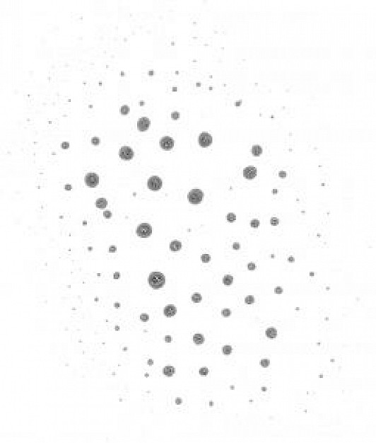 spores made of cells