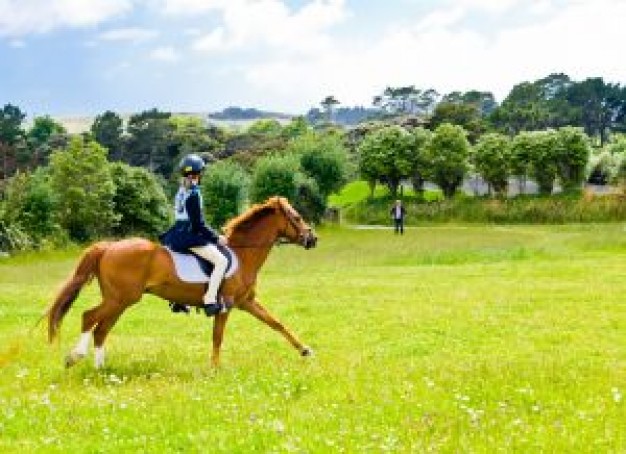 Sports pony Associations club ride about Spain Ponytail