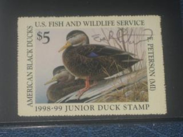 Stamps junior Collecting duck about Recreation Postage stamp