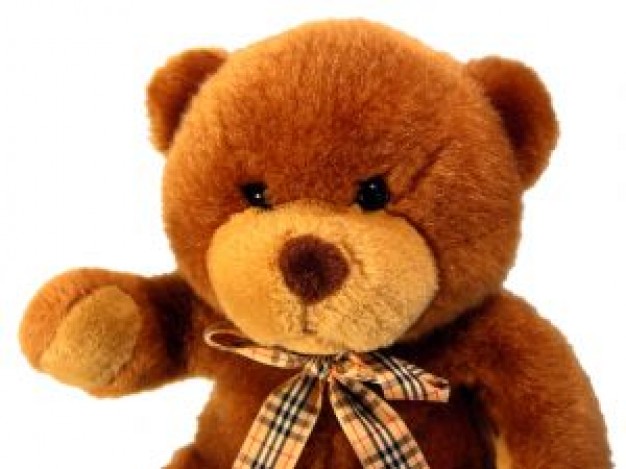 Teddy bear toy hello Bear teddy about Shopping Toys