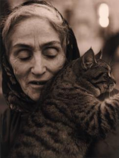 tenderness woman hanging with cat under warm light