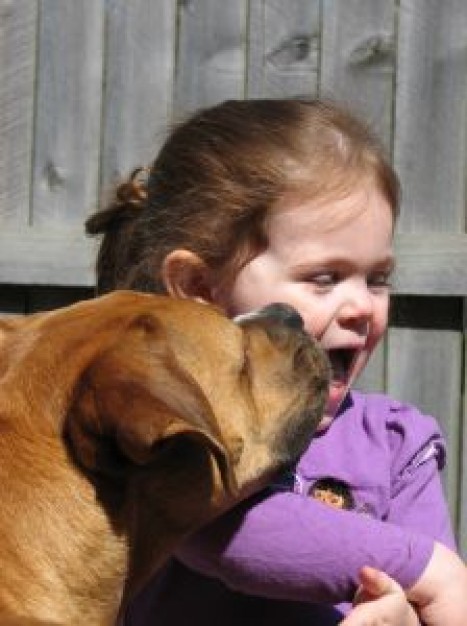 the facial that dog licks girl over board background