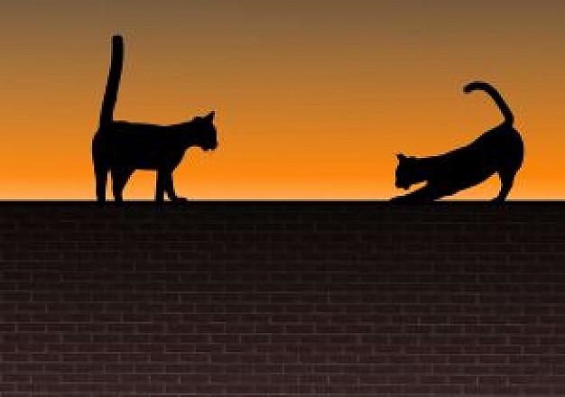 two cats on a brick wall over sunset