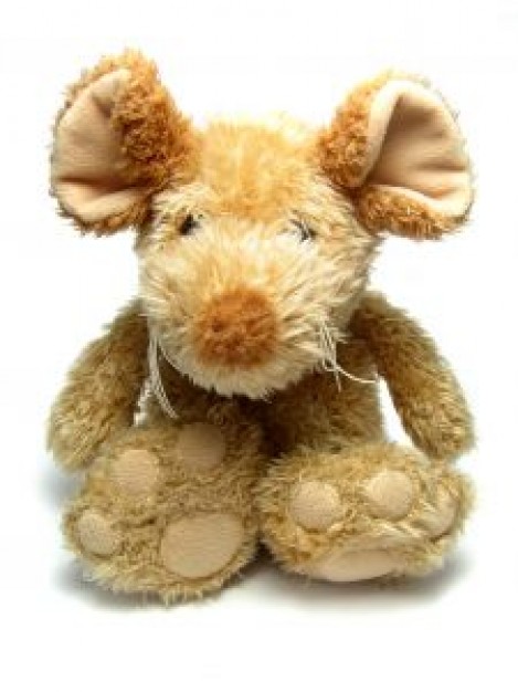 Whisky teddy Mammal mouse about Mouse Rodent