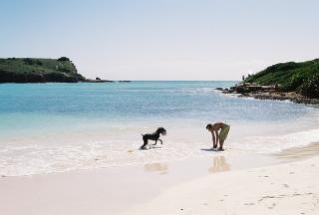 woman and dog playing at beach with sea bay background