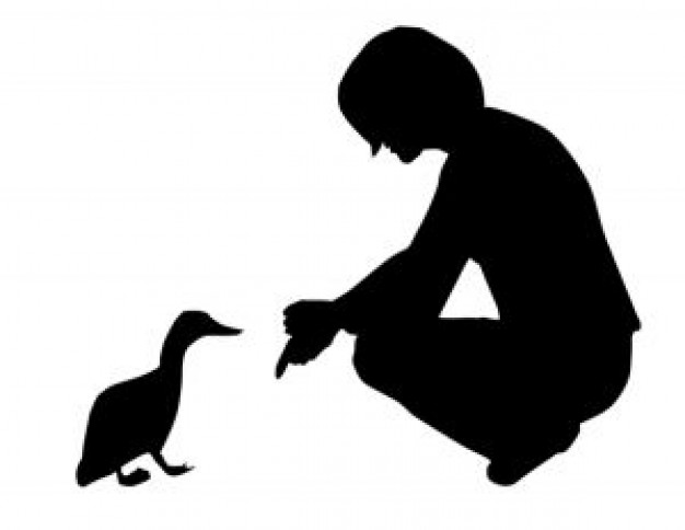 woman give food to duck silhouette