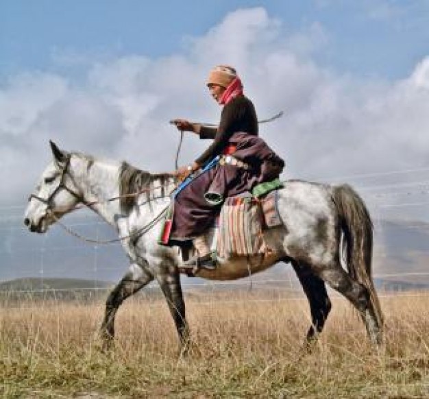 Woman riding a horse on autumn grassland