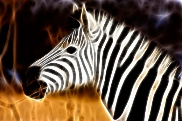 zebra profile abstract portrait over autumn grass