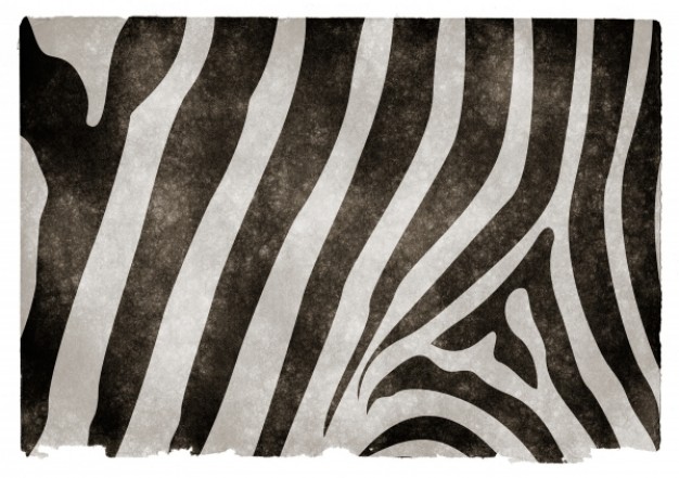 zebra shell pattern for striped grunge texture