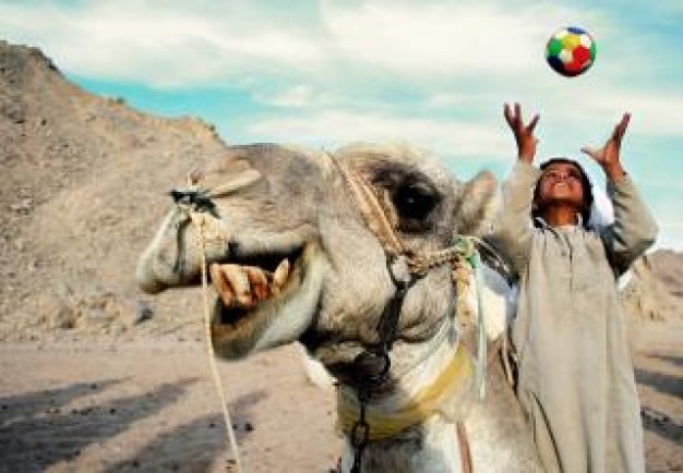 a happy camel and Arabian boy playing ball on field
