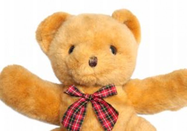 brown teddy bear stuffed teddy with tie