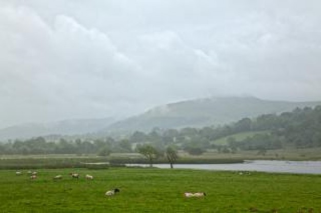 landscape with misty pasture hdr