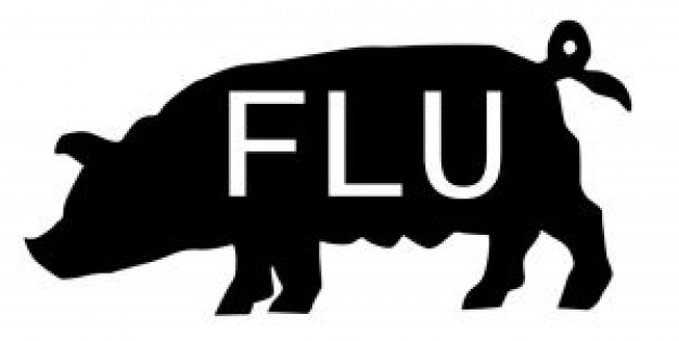 swine flu disease silhouette in black