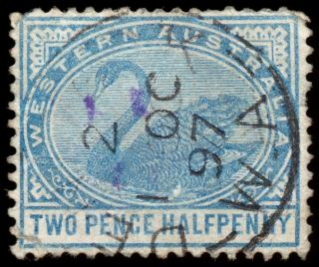 vintage stamp with blue swan