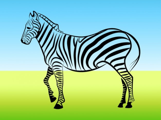 zebra outline design logo over blue and yellow