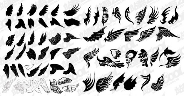 a variety of beautiful wings totem in black and white