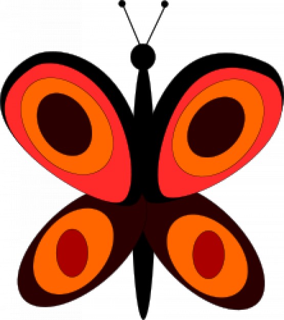 abstract little butterfly in top view