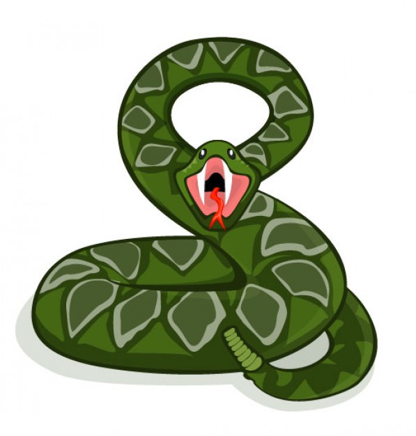 green snake showing her teeth