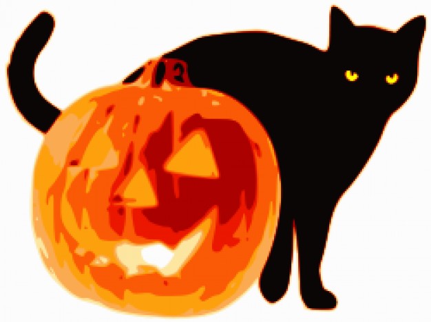 black cat standing back jack lantern in All Saints Day