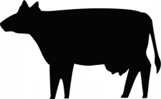 black cow silhouette with short horns