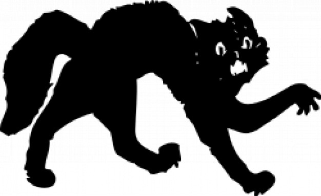 black defensive fierce cat