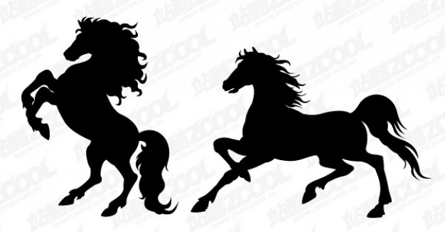 black horses curveting and running silhouette