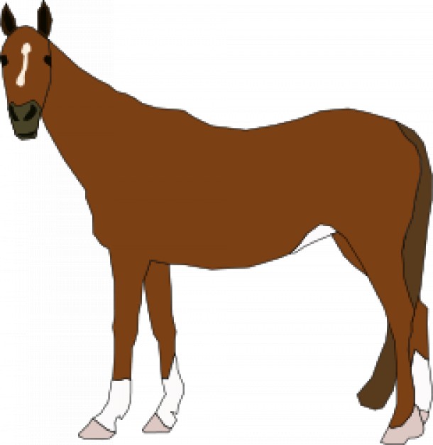 brown horse in side view