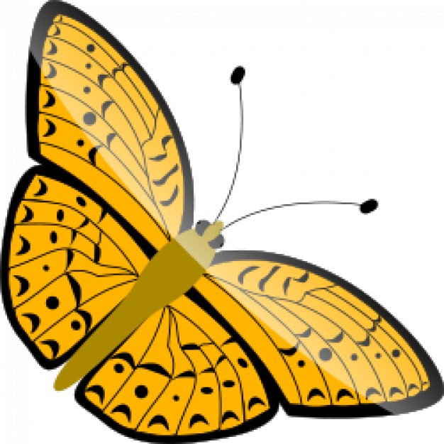 butterfly Clip art in Nature beautiful color