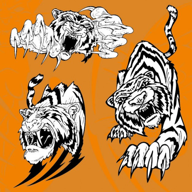 cartoon sabre-rattling tigers pack with Orange Peel background