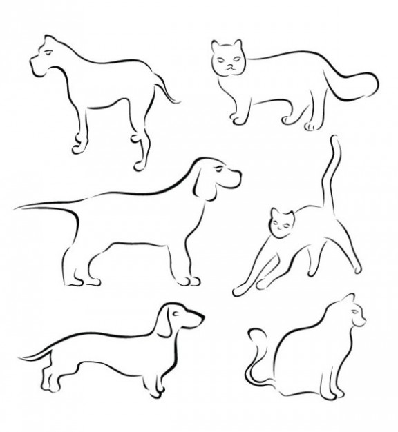 cat and dog painted by hand