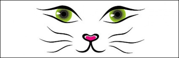 cat face in simple line