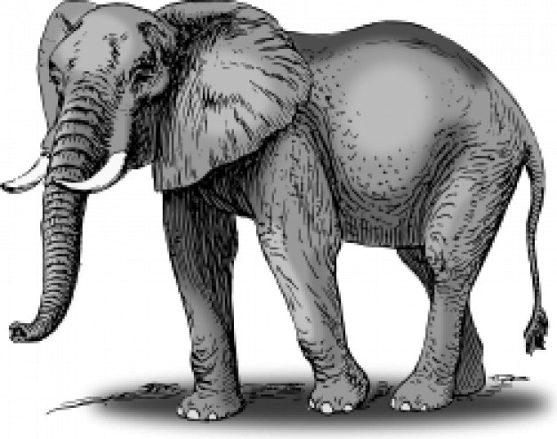 colored elephant standing in gray