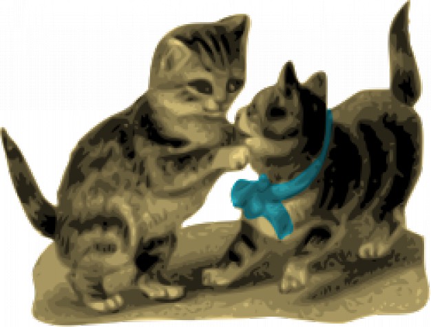 couple of kittens one with blue ribbon